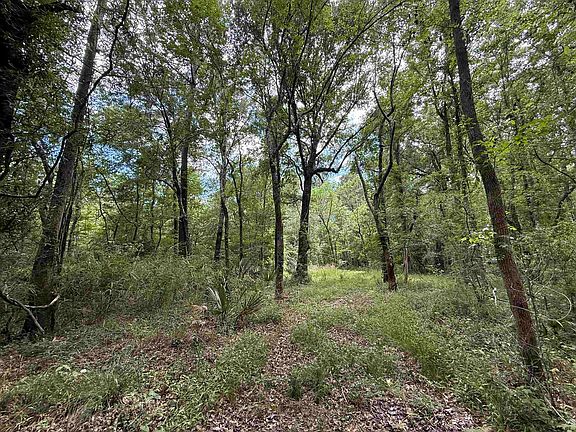 3rd image of 17.8 Acres-5871 Pennyroyal Rd.