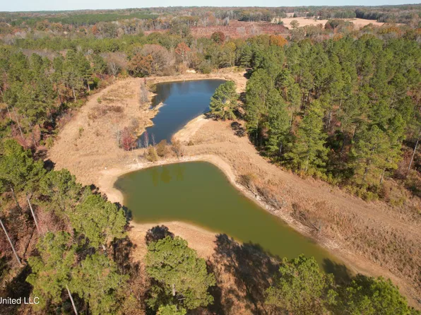 Off Cres #115, Carrollton, MS 38917