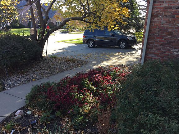 2nd image of 4504 S 162nd Ave