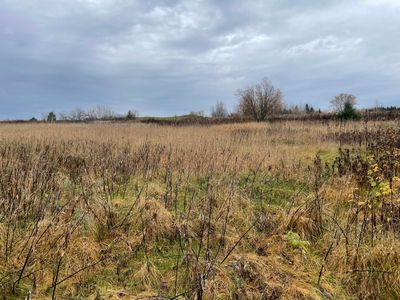 345 Parkhurst Siding Road, Presque Isle, ME, 04769