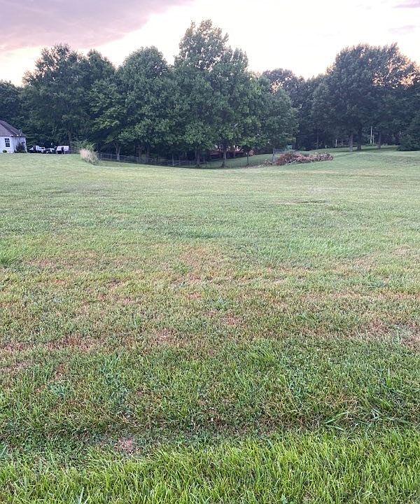 2nd image of 0 Sycamore Ln