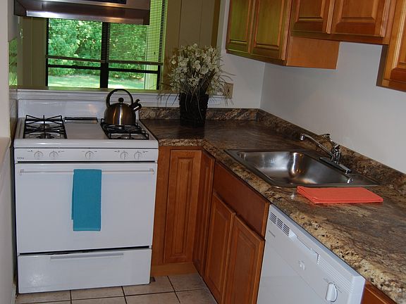 Kitchen - new cabinets, new counter tops and new dish washer