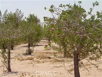 2nd image of 47827 Prism Rd