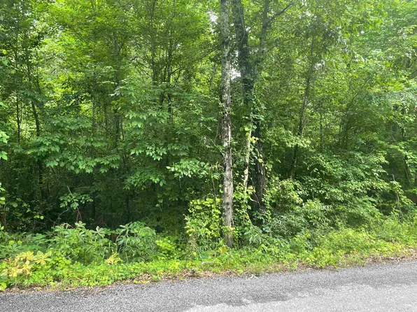 39 Ryan Dr, Heber Springs, AR 72543