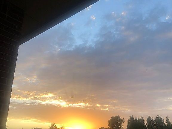 View from back porch 