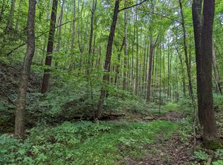 5051 Auerville Rd, Bainbridge, OH 45612