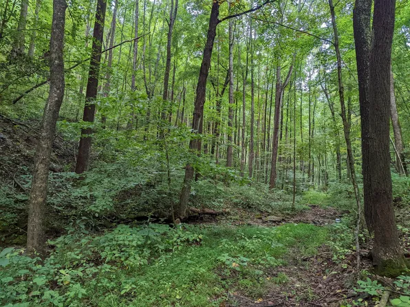 5051 Auerville Rd, Bainbridge, OH 45612