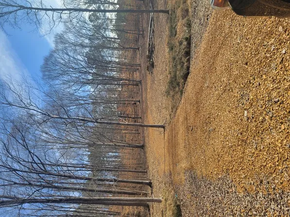 181 Valley Oak Dr, Buchanan, TN 38222