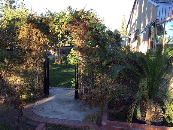4th image of 8184 Red Hill C C Dr #C