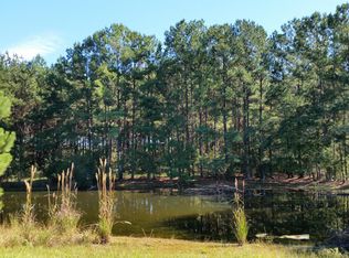 41 Farve Rd, Sumrall, MS 39482