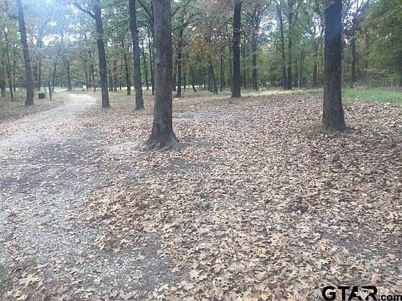 5th image of 349 County Road 3351