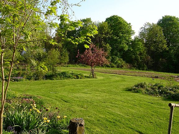 Back yard and garden area