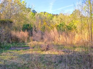 67 Cone Ct, Cottageville, SC 29435