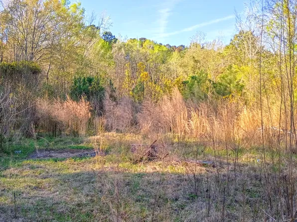 67 Cone Ct, Cottageville, SC 29435