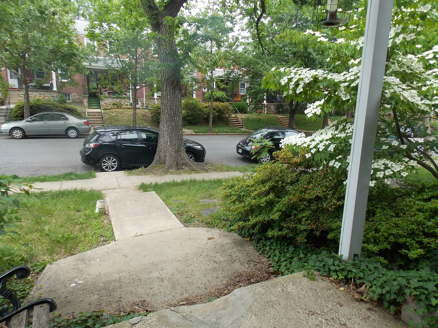 907 Chestnut Hill Ave. — Photo 3