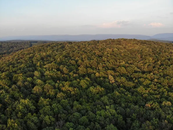 0 Bryner Rd, Ohiopyle, PA 15470