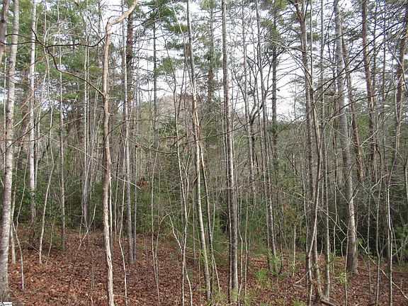 2nd image of 116 Fireside Ln