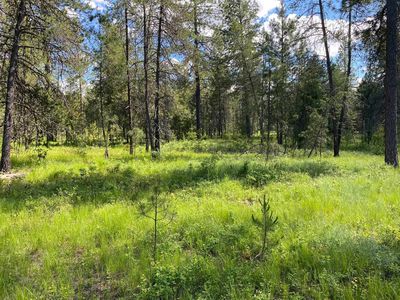 Xx W Montgomery Rd Lot A, Deer Park, WA, 99006