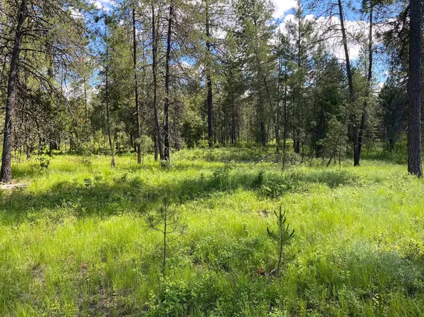 Xx W Montgomery Rd Lot A, Deer Park, WA 99006