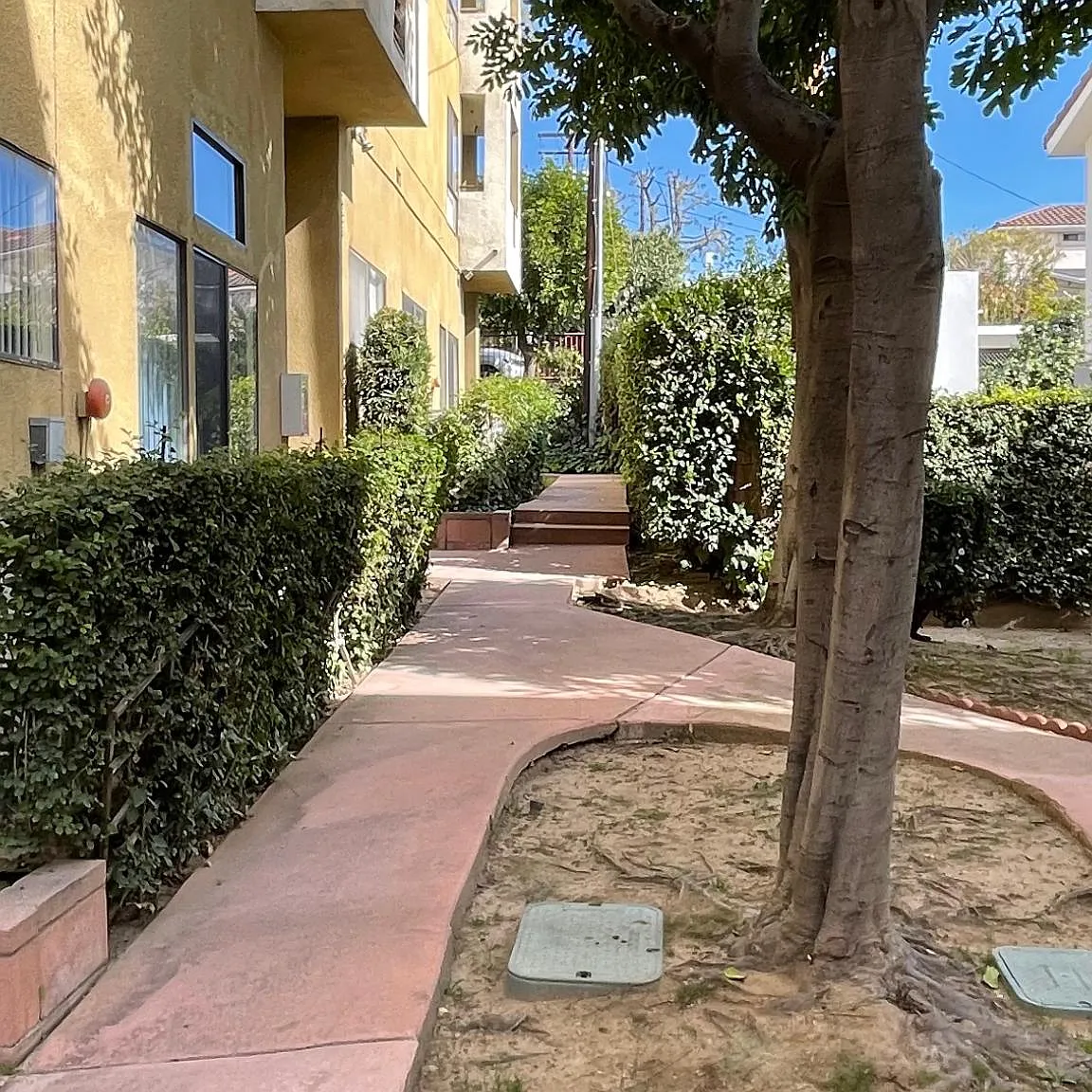 847 Padilla St — Photo 4
