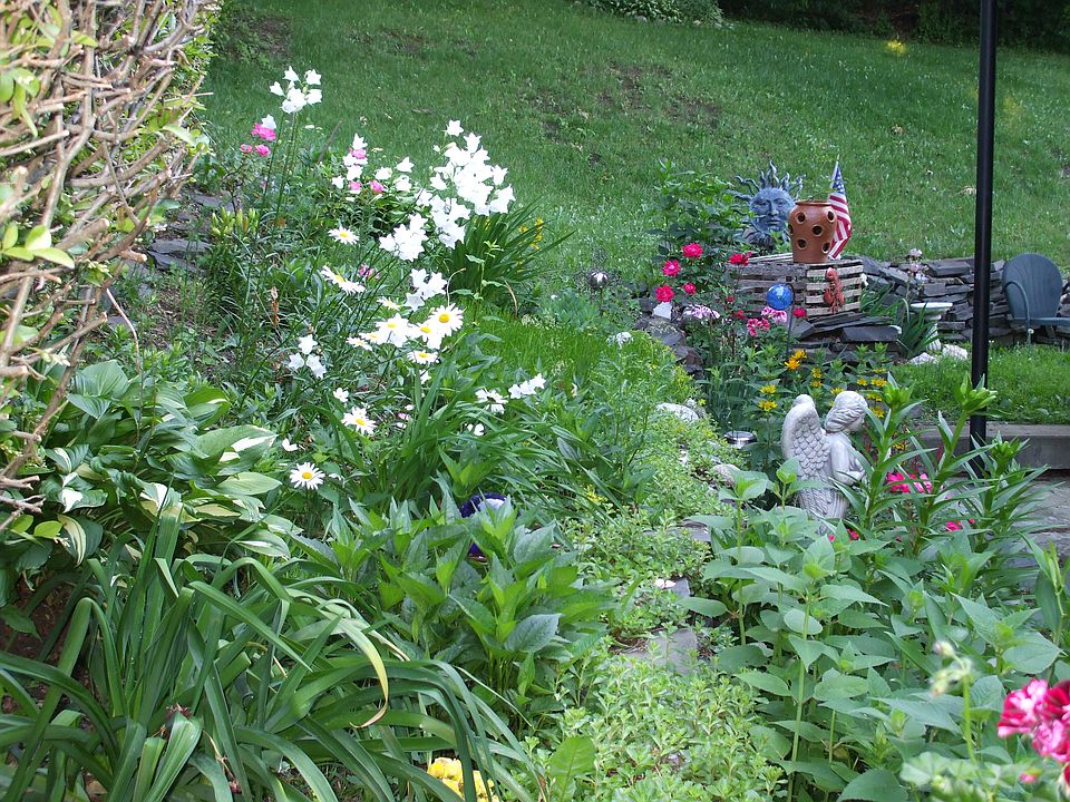 backdoor garden