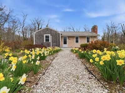 26 Locust Road, Orleans, MA, 02653