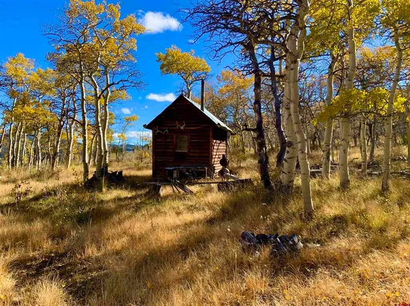 Tract 7 South Beaver Cow Camp, Gunnison, CO 81230