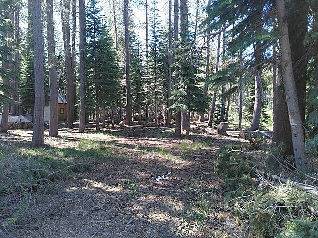 1st image of 50741 Conifer Dr