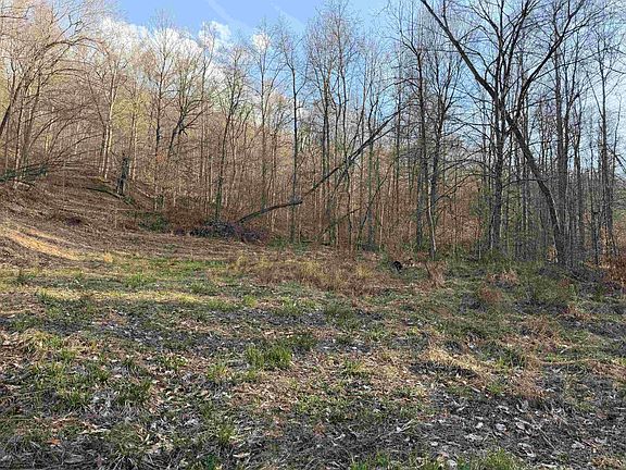4th image of Wash Run Rd