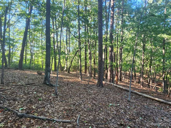 LOT 18 Wilkerson Ct, Lake Lure, NC 28746