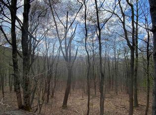 31 Mountainside Rd, Davis, WV 26260