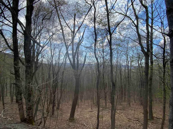 31 Mountainside Rd, Davis, WV 26260