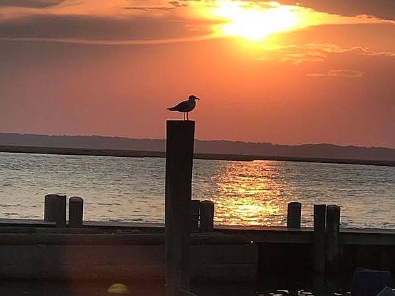 Amazing sunsets. 