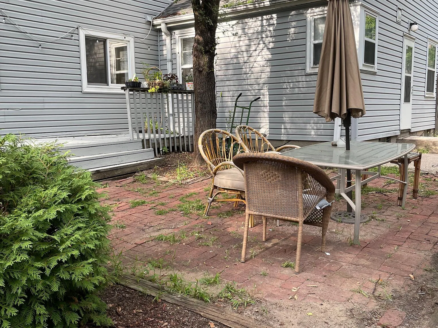 1 bed, 825 sqft, $1,195 — Photo 4