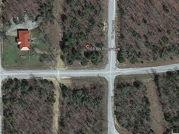 4th image of 103 N Bo Peep Ave