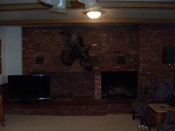 5th image of 621 N Bailey St