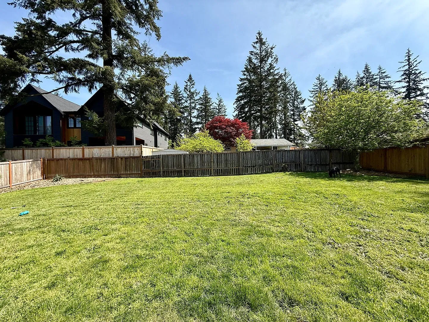 3 bed, 940 sqft, $3,200 — Photo 2