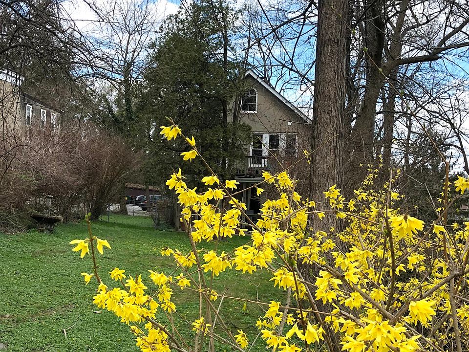 Springtime at 1908 Sulgrave Ave.