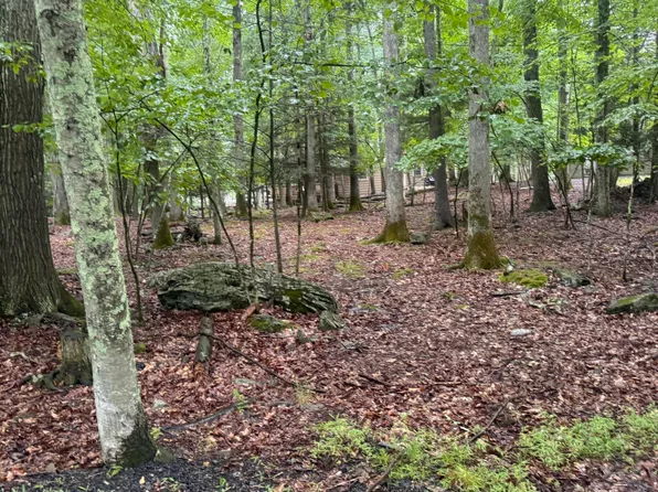LOT 183 Forest Dr, Lakeville, PA 18438