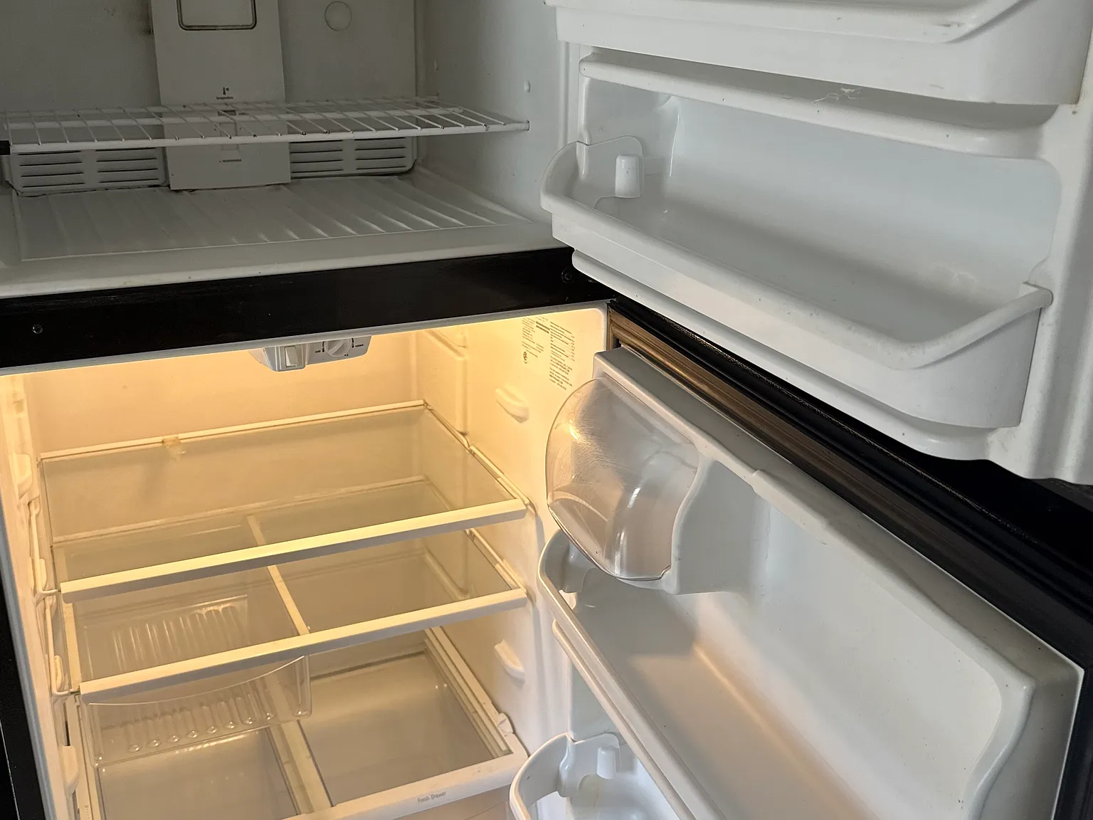 1 bed, $800 — Photo 4