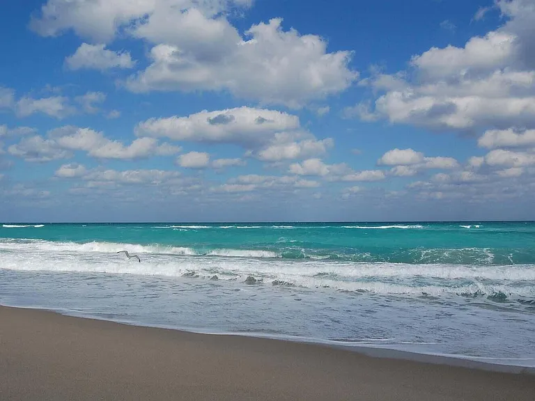 5540 N Ocean Dr #8C — Photo 37