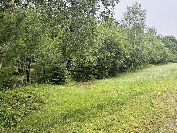 2nd image of 000 Williams Pond Road Road
