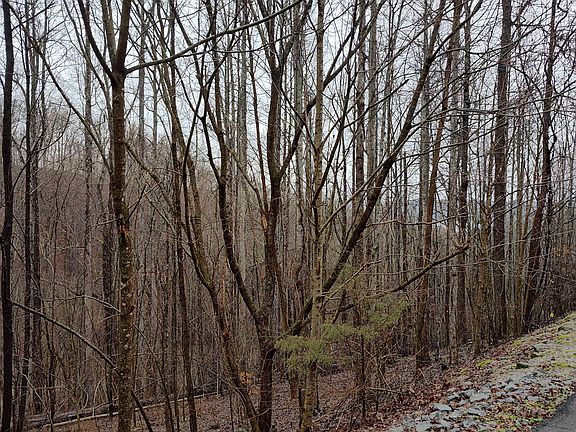 4th image of 35 Bay View Dr Lot 35