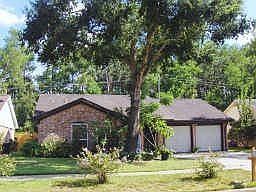 5th image of 423 Mistywood Dr