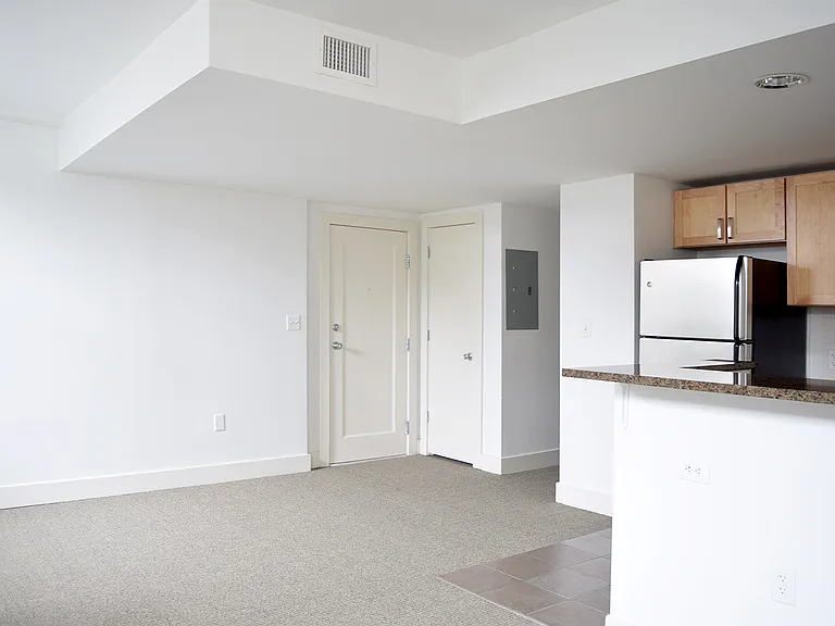 Dining/Living room