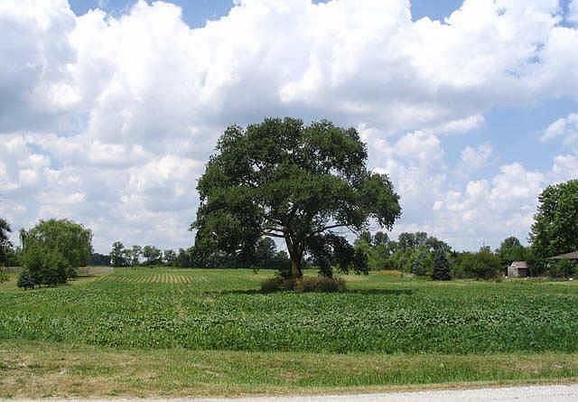 2nd image of 9610 N County Road 1025e