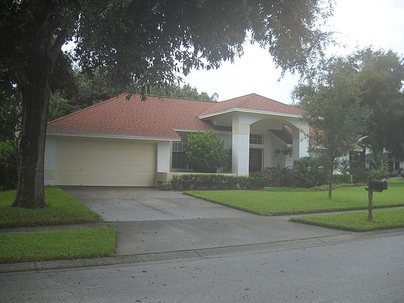 Shaded Driveway