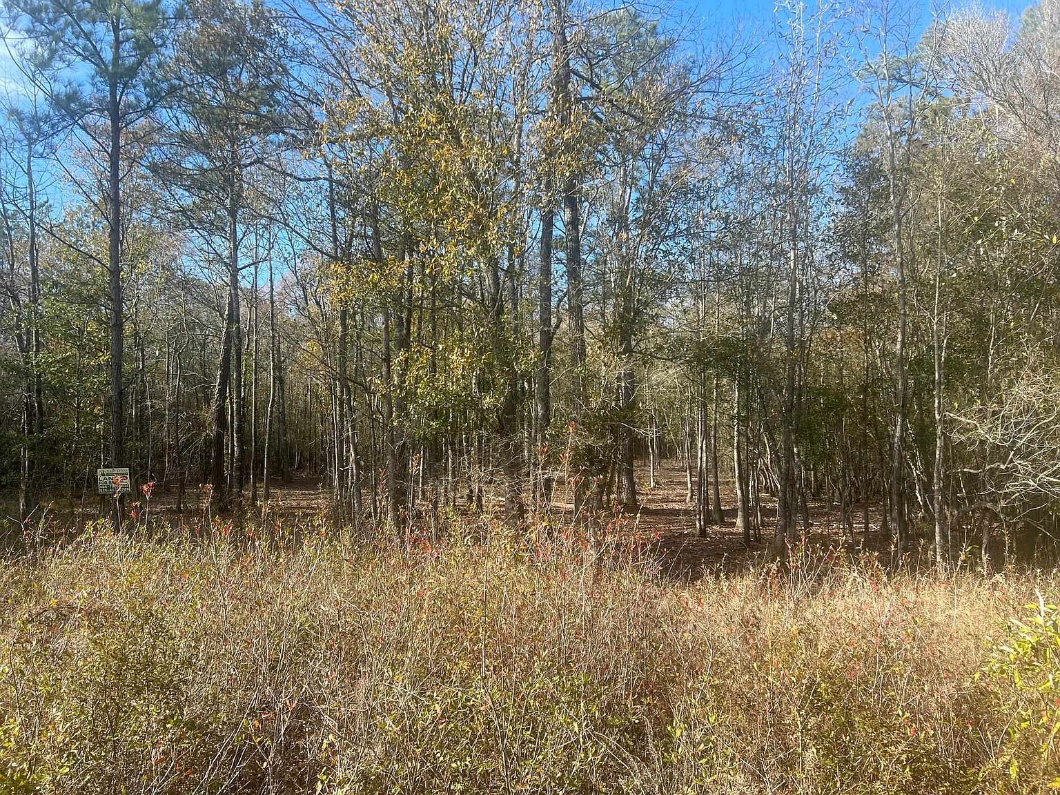 1390 County Road 3061, Kirbyville, TX 75956 MLS 244582 Zillow