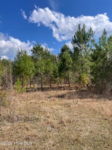 0 Split Drive SE, Bolivia, NC, 28422