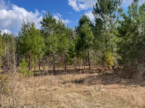 0 Split Drive SE, Bolivia, NC 28422